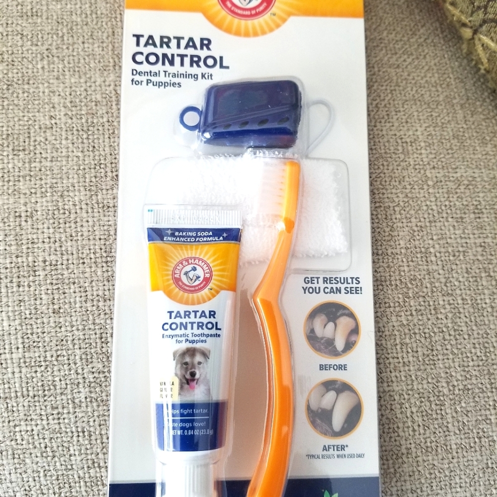Toothbrush for dogs